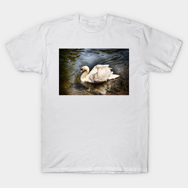 Elegance On Water T-Shirt by JimDeFazioPhotography